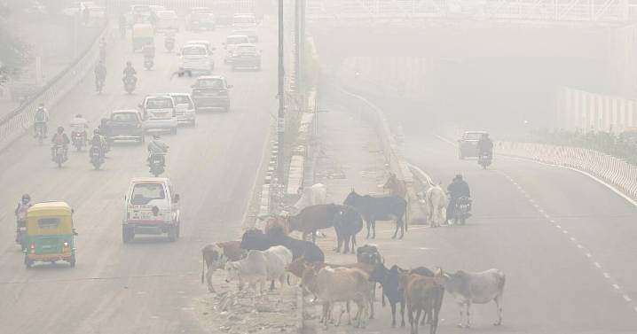 Staggered office hrs, mist spraying: How Delhi tackling pollution