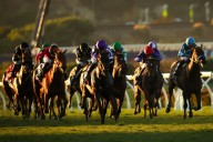 Photos: 2025 Breeders’ Cup 