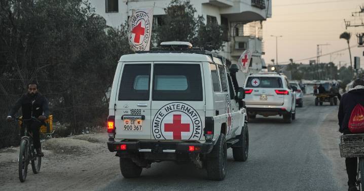 Unidentified remains of 3 people transferred to Israel, Red Cross says