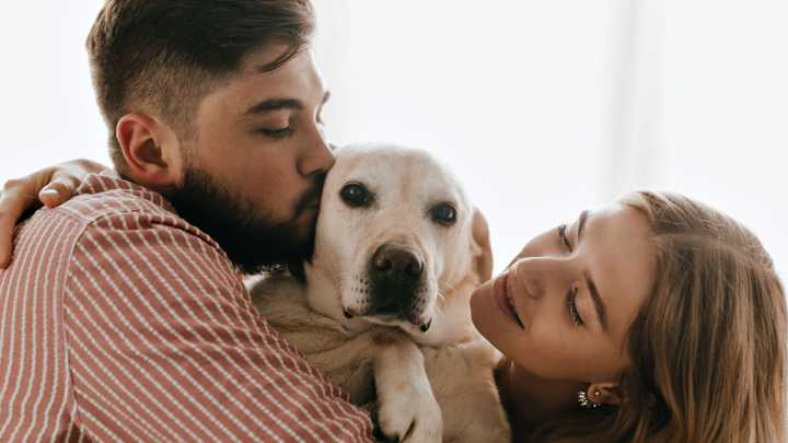 Hábitos que podrían prolongar la vida de las mascotas, según científicos