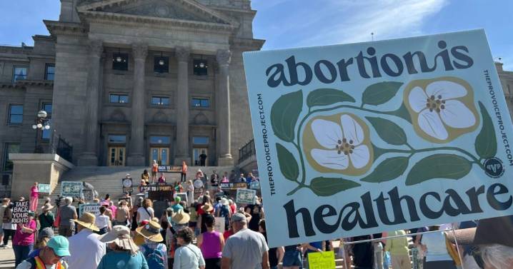 Ballot initiative to end Idaho’s abortion ban has more than 50,000 signatures, group says