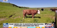Trump orders DOJ to probe soaring beef prices ‘jeopardizing’ US food supply