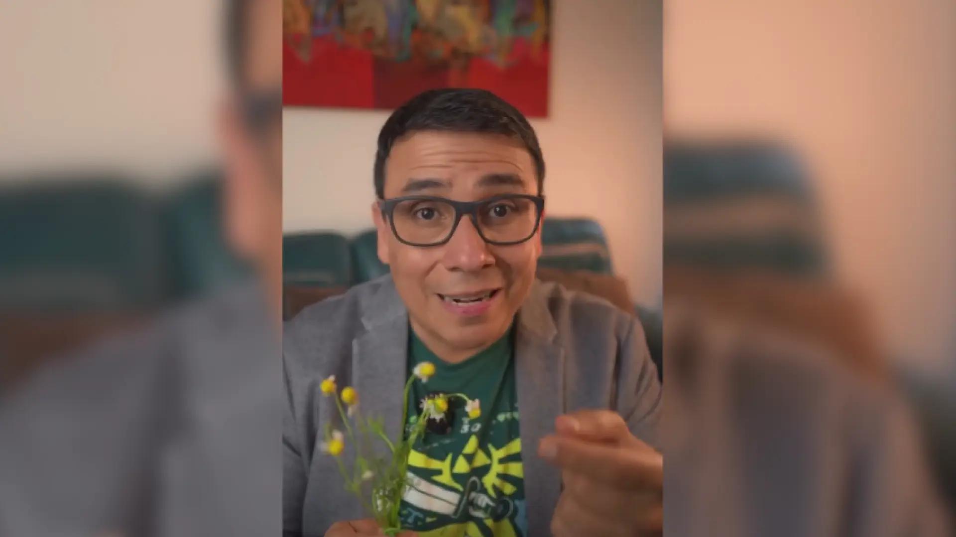 "La manzanilla es una aliada para mejorar la calidad del sueño respaldada por la ciencia"