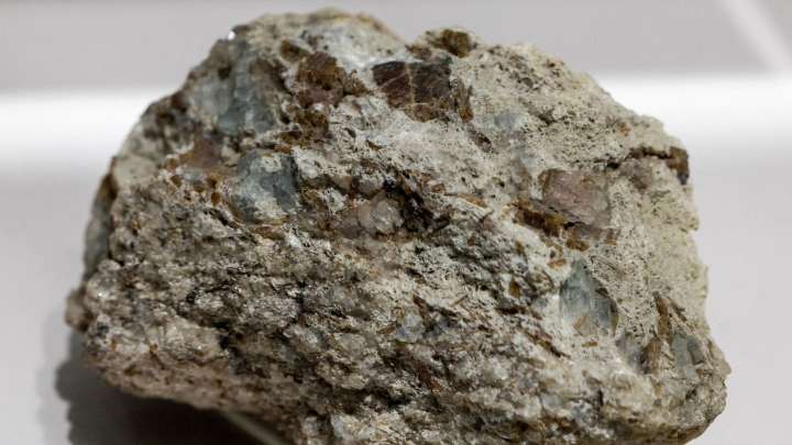 Govt wants auto industry to invest in a rare