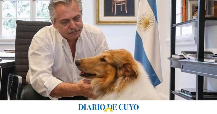 El ex presidente Fernández despidió a su perro Dylan: “Me regalaste una amistad que solo algunos humanos me han dado”