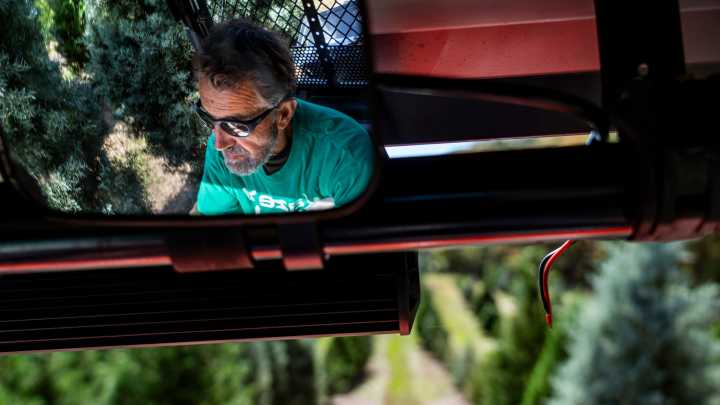 Where to cut your own Christmas tree and how to keep it fresh