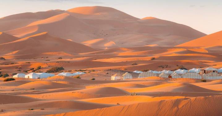 I despised camping but a night in the desert changed my mind