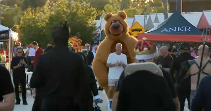 Organizers and Wilton Manors police step up security for massive Wicked Manors Halloween street party