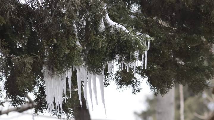 Primera helada de la temporada en el centro sur de Chihuahua podría registrarse después del 20 de noviembre