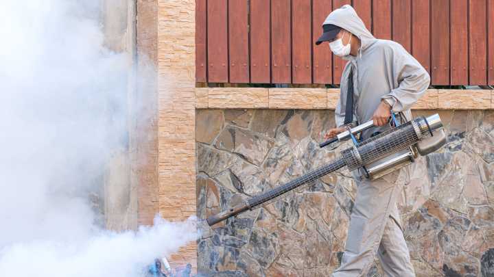 Is Your HOA Responsible For Your Pest Control? Here's What We Know