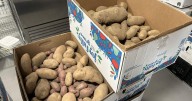 Caritas Food Bank sees 16 new clients daily amid SNAP benefit delays