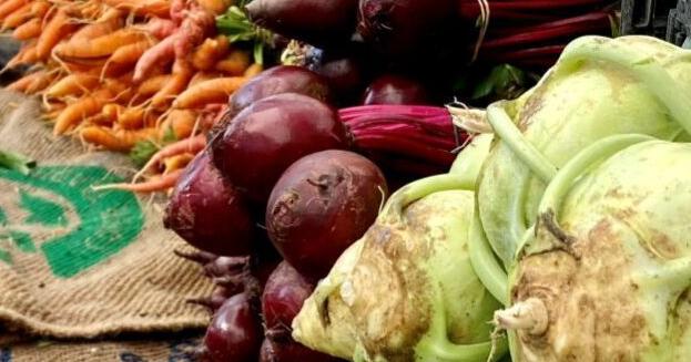 Trump allows more foreign ag workers, eases off ICE raids on farms