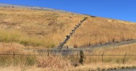 Oregon DEQ announces enforcement action against Coffin Butte landfill