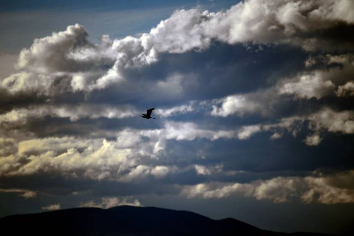 Colorado State Land Board approves San Luis Valley public lands deal