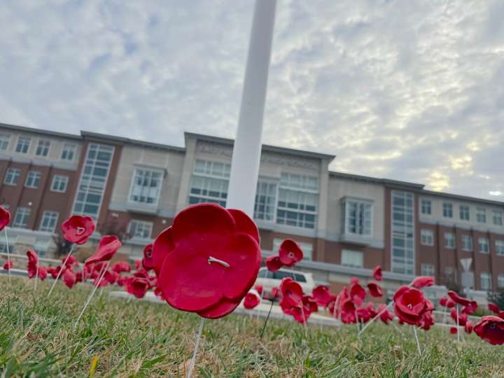 In East Providence, Veterans Day blooms in red clay