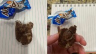 Kentucky police warn that multiple needles were found in Halloween candy