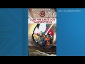 Cobb Fire crews save dog that fell in well