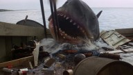 One Jaws Actor Basically Cast Himself In Steven Spielberg's Movie