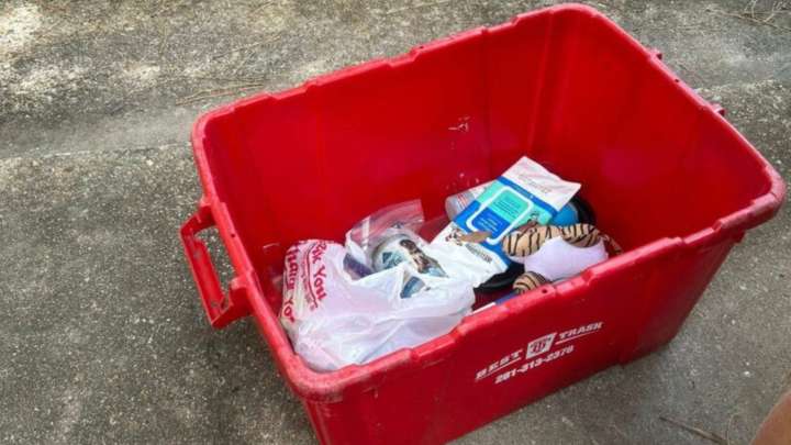 Texas Yard Mystery Deepens When A Homeowner Sees A Little Face Peeking From A Bin
