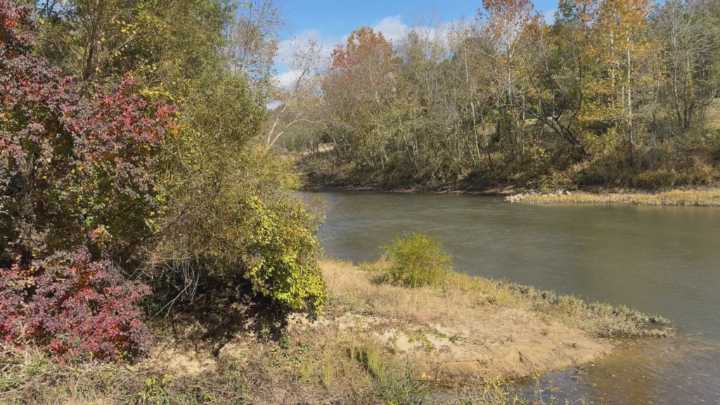 Main Street Columbus receives $20,000 grant for Fossil Park
