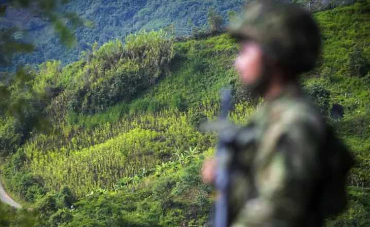 Ejército confirma liberación de dos soldados en La Macarena, Meta