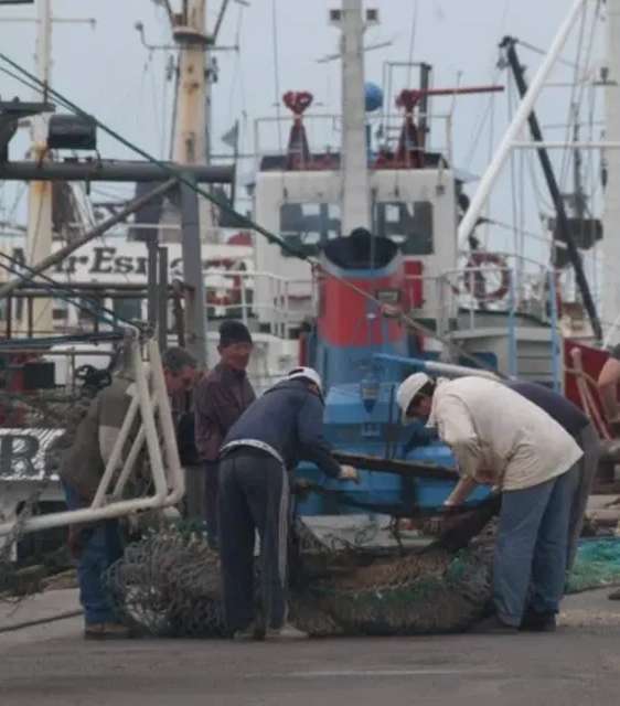 Indec: la actividad económica registró en septiembre un incremento de 5% interanual