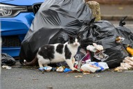 West Midlands residents who occupy Channel 4's Benefits Street react to Rachel Reeves' Budget