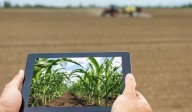 Una nueva carrera apunta a unir el mundo digital con la producción agropecuaria