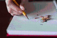 Argentina: Mujer golpea con una cadena a estudiante, en su escuela