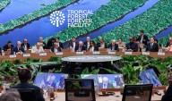 Lula lanza en la Cumbre del Clima fondo global inédito para conservar los bosques tropicales