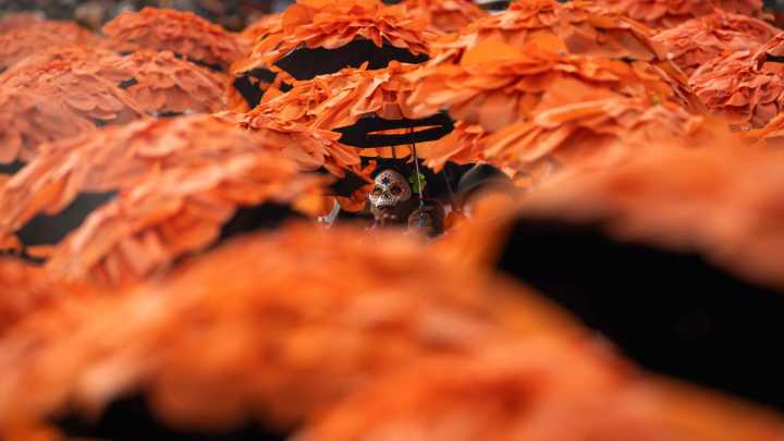 Recorrido En Fotos: Así fue el Desfile de Día de Muertos; Reunió a Casi 1.5 Millones de Personas