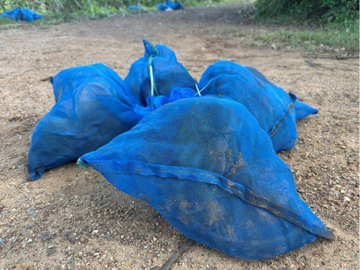 Men moving 81 macaques, meth arrested in Thailand