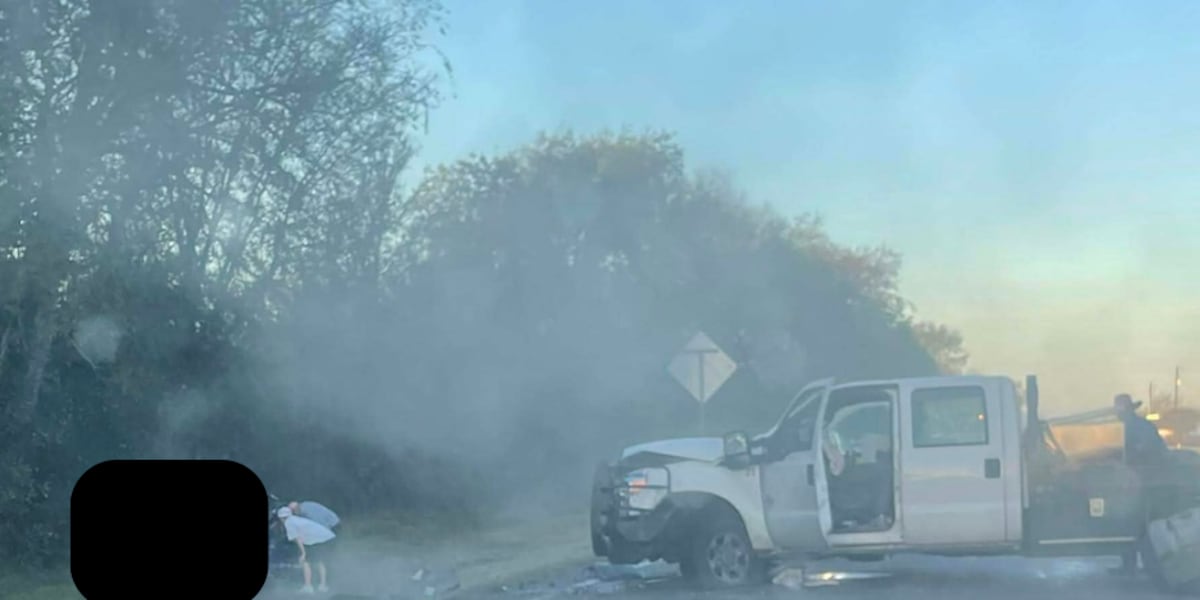 DPS identifies 64-year-old Navasota woman in fatal Millican crash