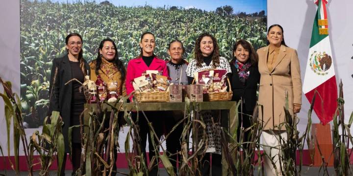Presentan Plan Nacional de Maíz Nativo: así se buscará impulsar el cultivo y comercio de maíz mexicano