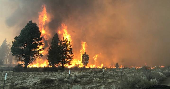 Three Takeaways From the 2025 Oregon Fire Season