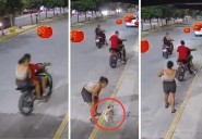 Captan robo de perrito pug en Cielo Nuevo; se lo llevó una pareja de motociclistas