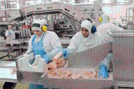 Granja Tres Arroyos, al borde del cierre