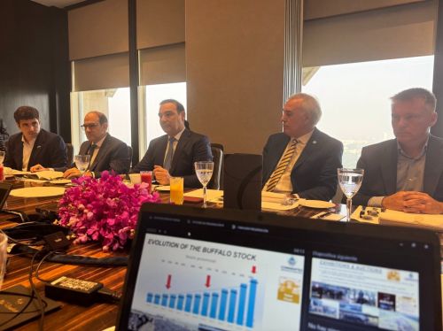 Valdés expuso el potencial productivo de Corrientes ante empresarios en India
