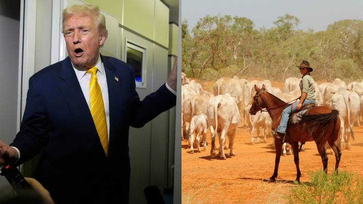 Australia welcomes Trump tariff backflip on beef, with relief coming for local farmers