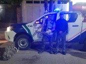 RESISTENCIA: Efectivos Acudieron En El Rescate De Una Iguana