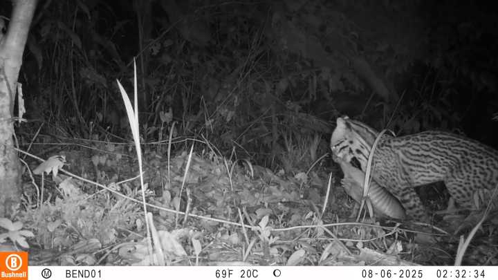 Tauramena busca reconocimiento de nueva área OMEC ante el Ministerio de Ambiente