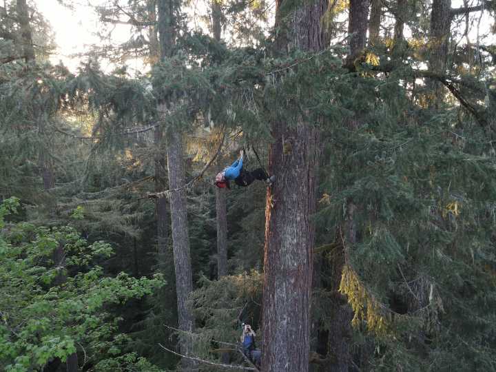 Oregon gifts for outdoor adventurers: 8 fun experiences from tree climbing to whale watching