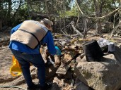 Salud Colima refuerza el control del dengue en Manzanillo y otros cuatro municipios de riesgo