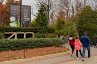 The shutdown is over and DC’s National Zoo is finally open