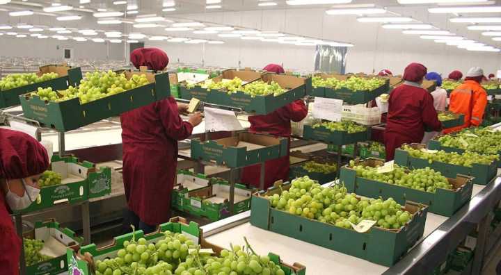 Perú busca fortalecer el diálogo con EE. UU. para reducir nuevos aranceles: Mincetur anuncia estrategia diplomática