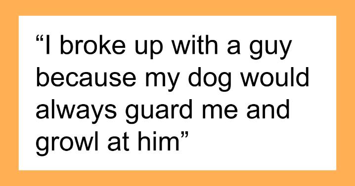 29 Borderline Crazy Things People Were Down To Do For Their Dogs