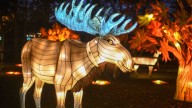 Hattiesburg Zoo Lights of the Wild returns for Christmas 2025