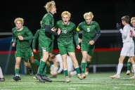 Hamilton rolls to 2nd straight Section III Class D boys soccer title with win over Fabius