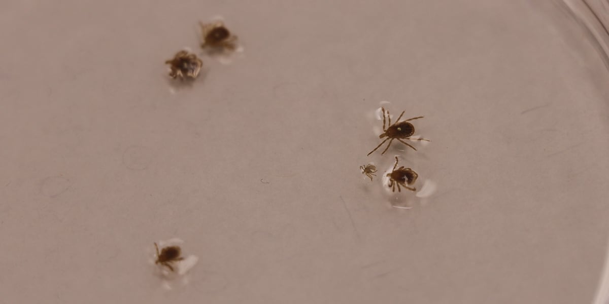 Health officials urge awareness after first confirmed death linked to meat allergy spread by ticks