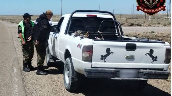 Decomisan a cazadores un guanaco despostado